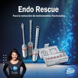 Endo Rescue